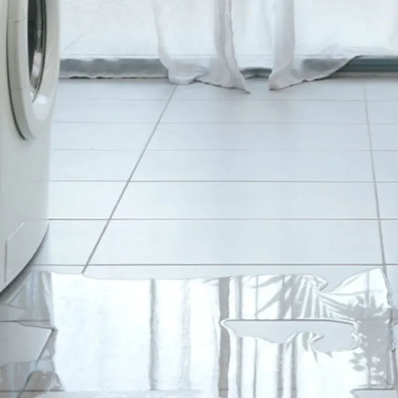 Appliance Leak Cleanup in Bridgeport, WV