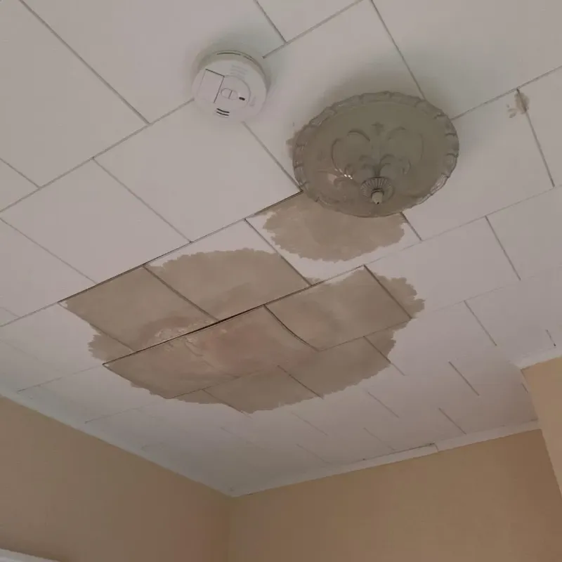 Ceiling Water Damage Repair in Bridgeport, WV
