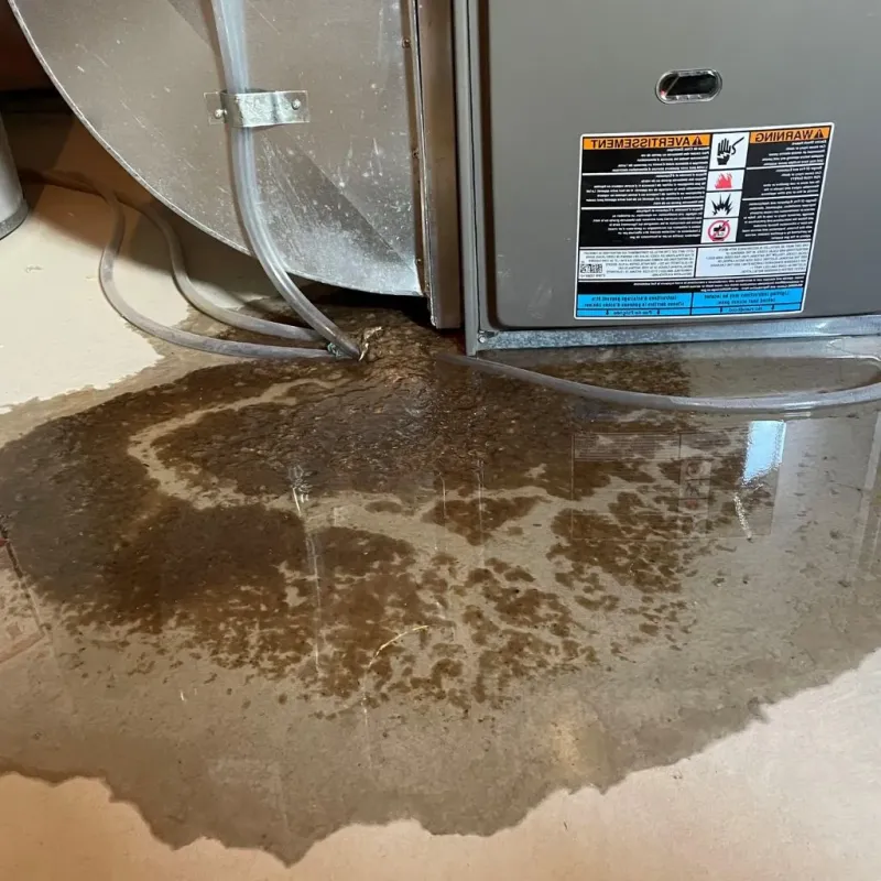 Pipe Burst and Leak Restoration in Bridgeport, WV