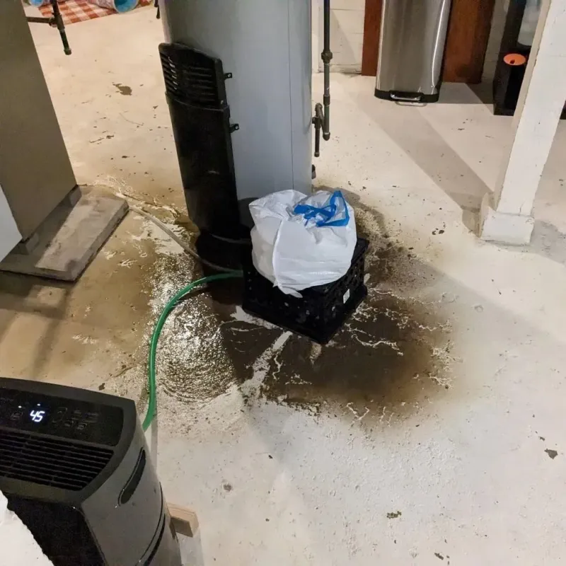 Sewage Backup Cleanup Service in Bridgeport, WV